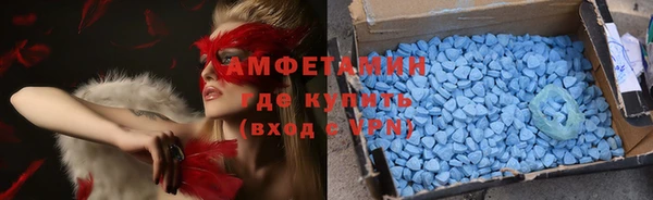 ПСИЛОЦИБИНОВЫЕ ГРИБЫ Строитель