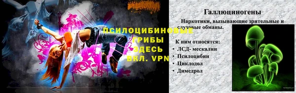 mdpv Горняк